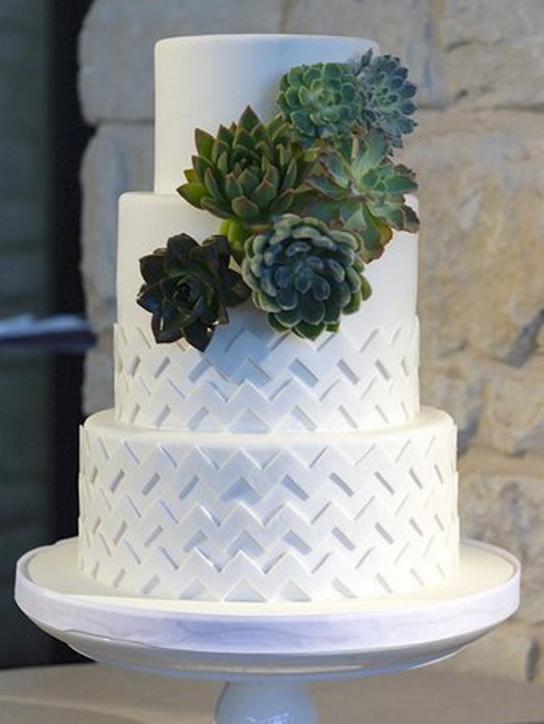 Succulent Cake via Wedding Wire // Coco Paloma Desserts, Austin TX 